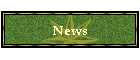 NEWSACTIVE.GIF (3199 bytes)